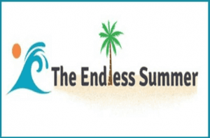 Sharad Thaper - The Endless Summer Google Shopping Course