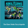 Artem Levin - The Knee Strike Encyclopedia