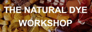 Charllotte Kwon and Sophena Kwon - The Natural Dye Workshop - June 2021