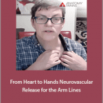 Kieran - From Heart to Hands. Neurovascular Release for the Arm Lines