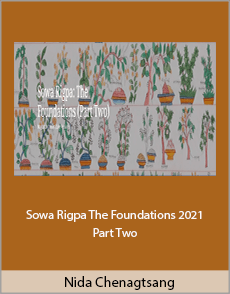 Nida Chenagtsang - Sowa Rigpa. The Foundations 2021 - Part Two