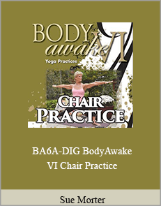 Sue Morter - BA6A-DIG BodyAwake VI Chair Practice